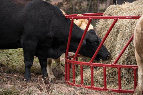 Thumbnail: STEELCOR CATTLE HAY FEEDER