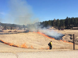 12487151_1108765782488170_11344987011452