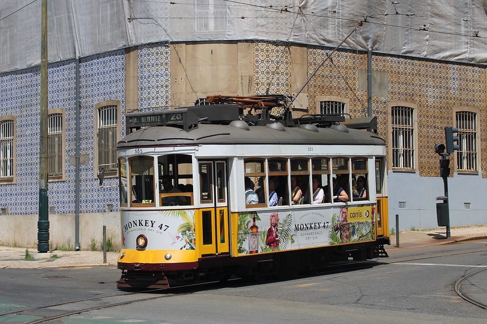 Carreira 28E. Fotografia © AdL.