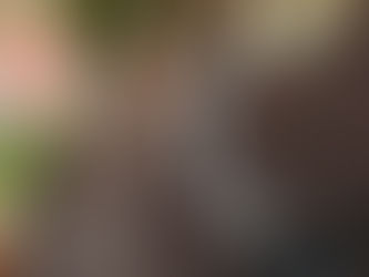 “I’m Not The Same Anymore” Chapter 157