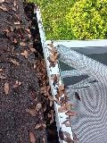 image000006.jpg