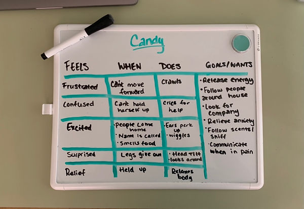 Candy empathy map.jpeg