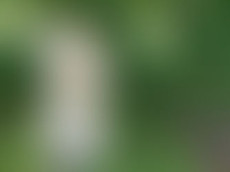 L'énigme des Croix type Crozant : si on levait le voile