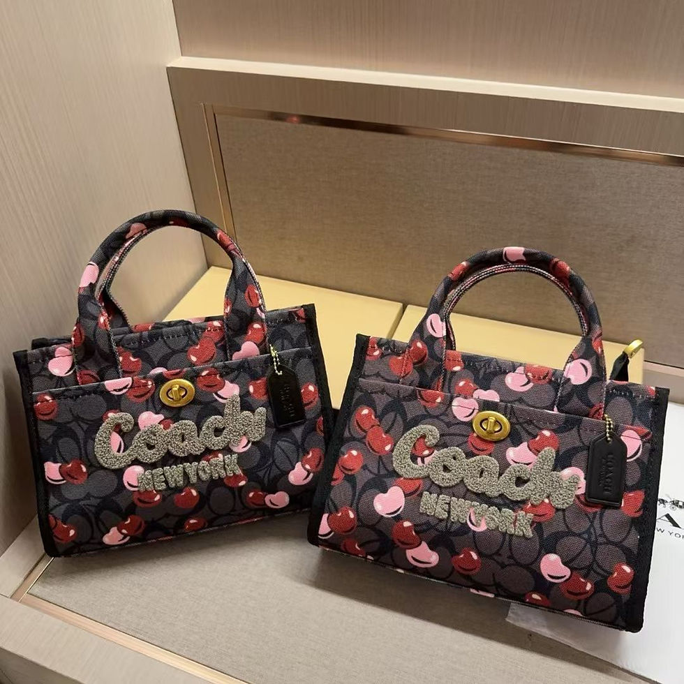 縮圖：COACH TOTE BAG WITH BOX (MOQ-10 Pieces )