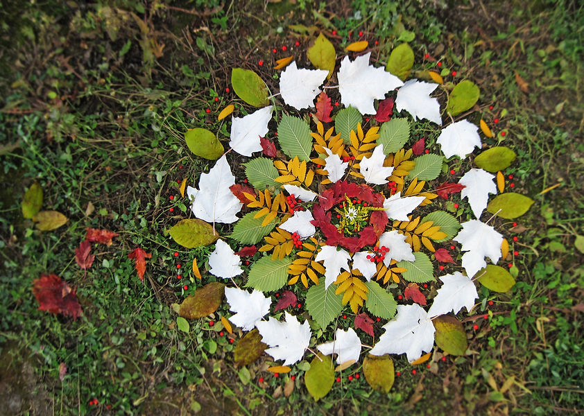 Outdoor activity autumn round mandala of flowers, berries, elm leaves, poplar, mountain as