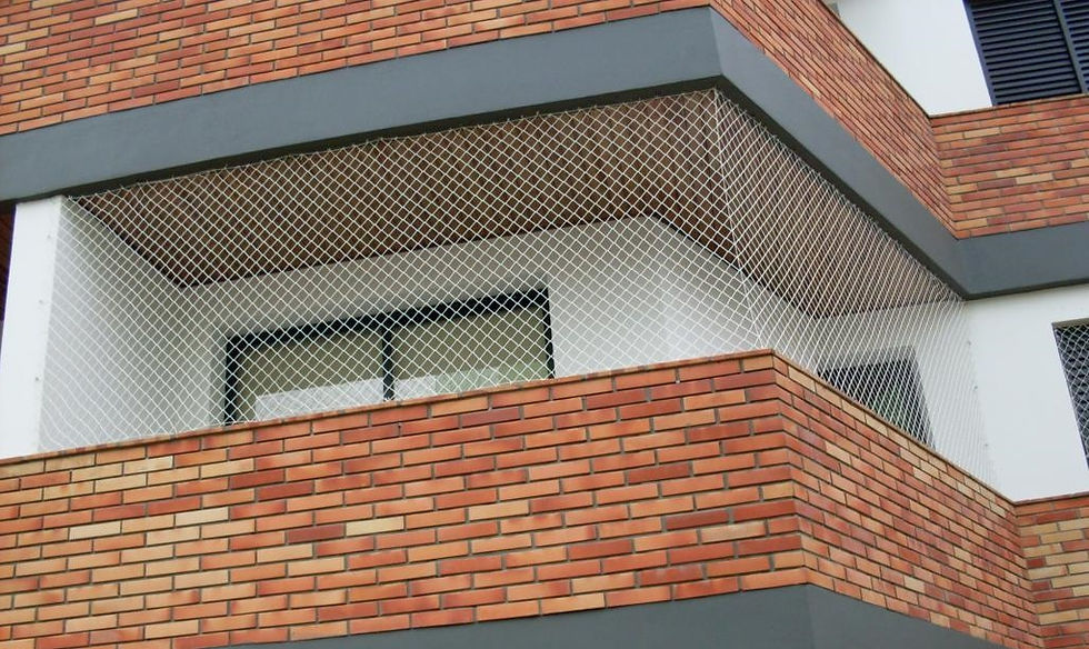 Sacada