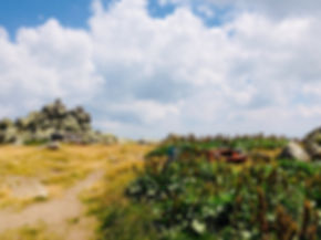 Landschaft in Bulgarien