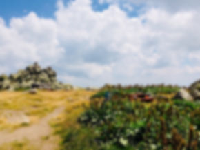 Landschaft in Bulgarien