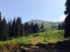 Landschaft in Bulgarien