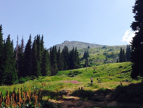 Landschaft in Bulgarien