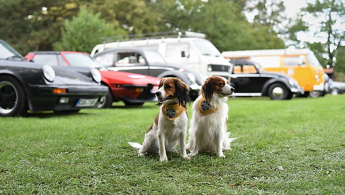 07.09.2019 - Becks und Pepper waren bei der Weser Elbe Classic 2019 dabei, natürlich mit passenden Vereinshalstuch!