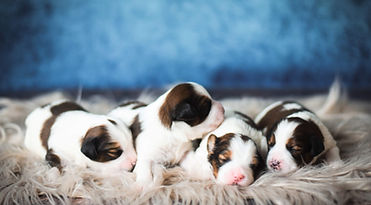 Gruppenbild 5 (2).jpg