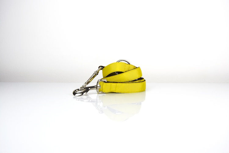 Miniatura: Correa multiposición - Brott dog