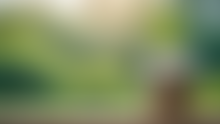 Making CEN-SE of what investors will do next