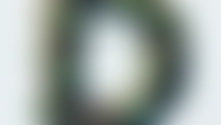 An A-Z of Sustainability: D is for Diversity, Equity and Inclusion