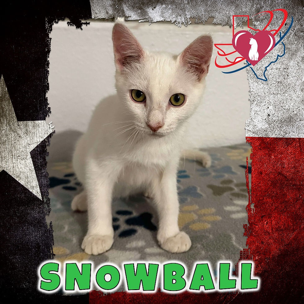 Snowball
