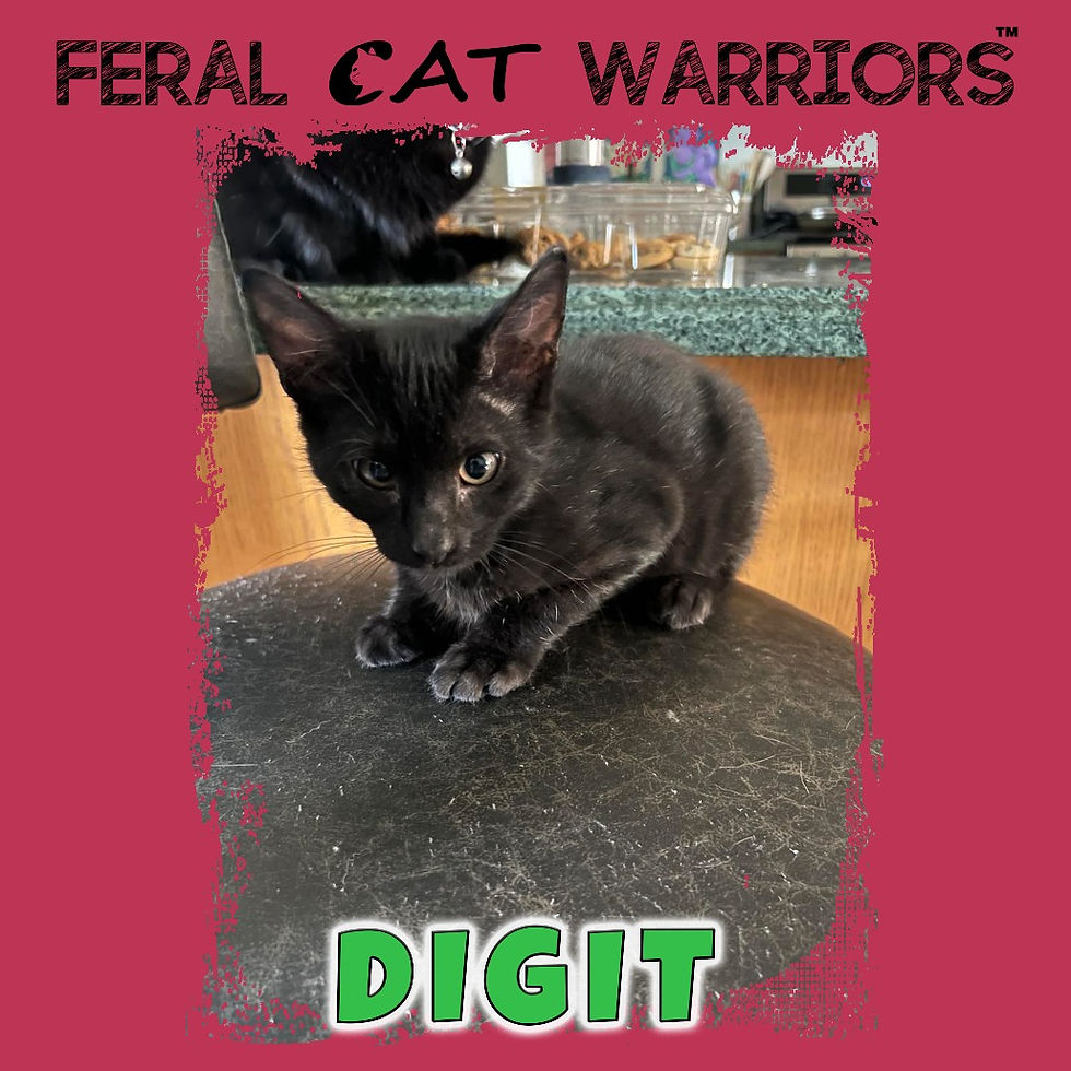 Digit