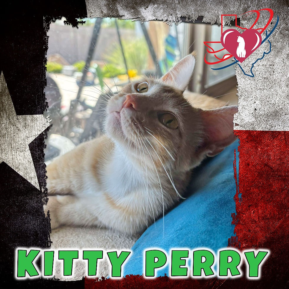 Kitty Perry