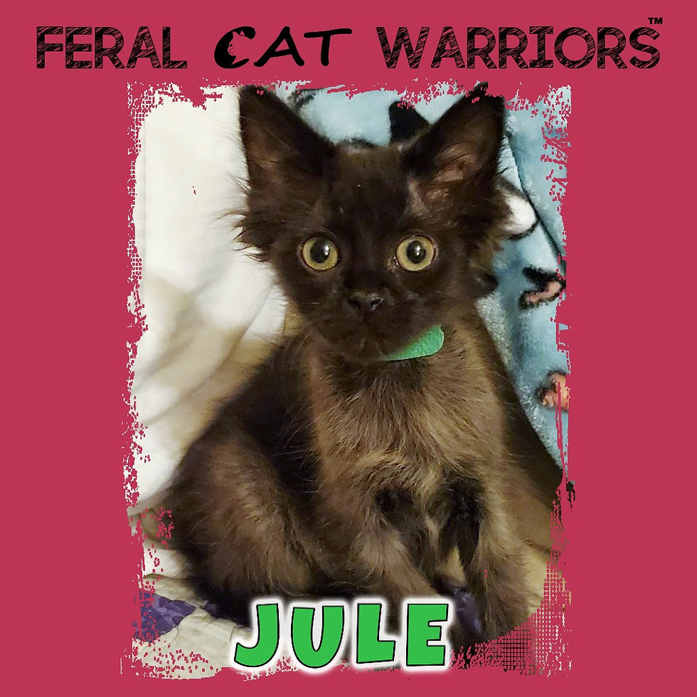 Jule