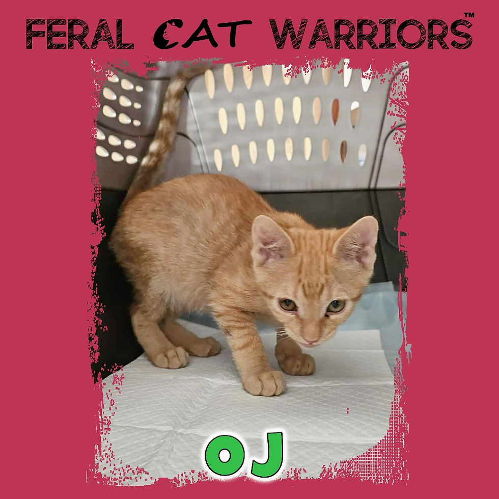 O.J.