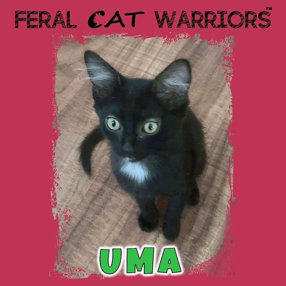 Uma