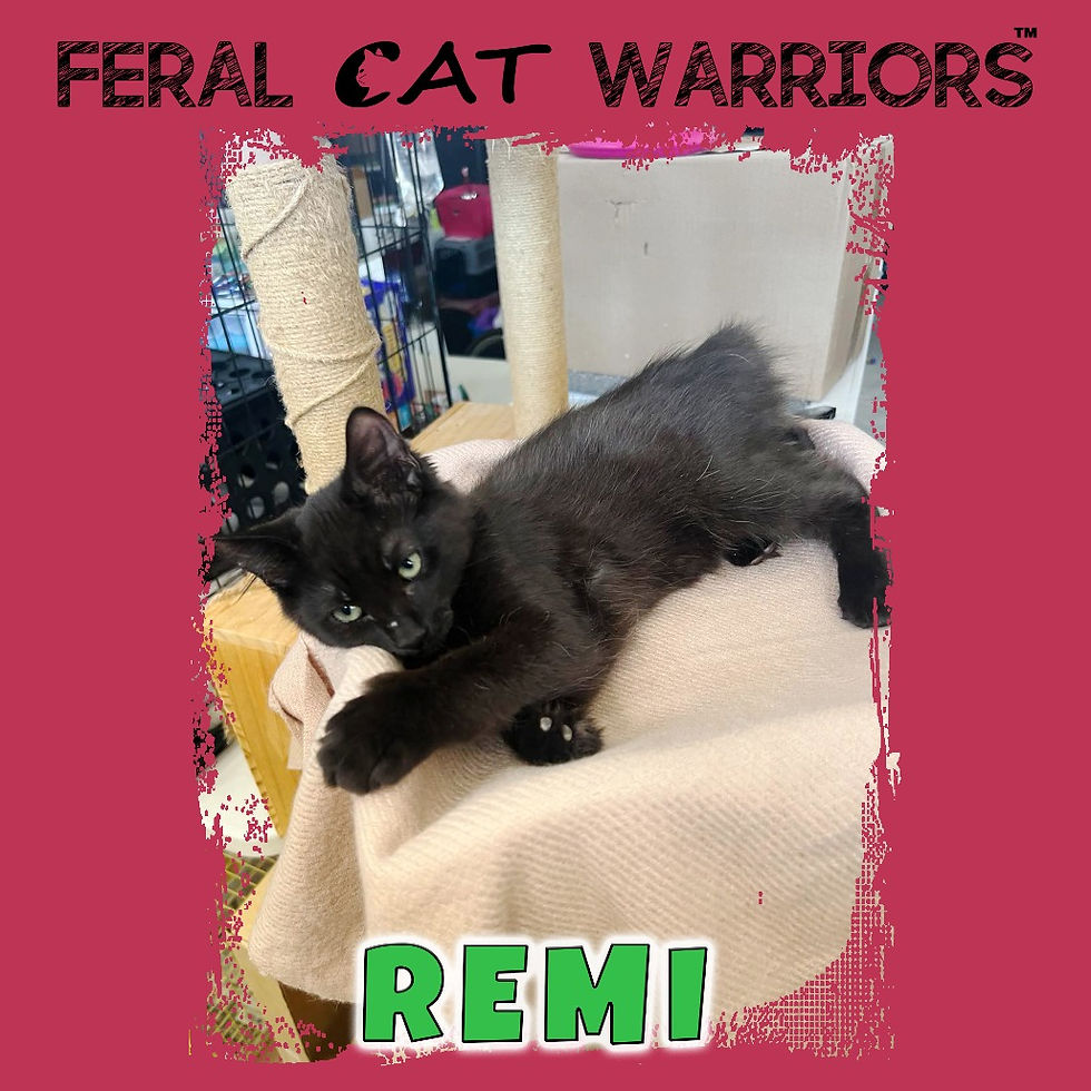 Remi