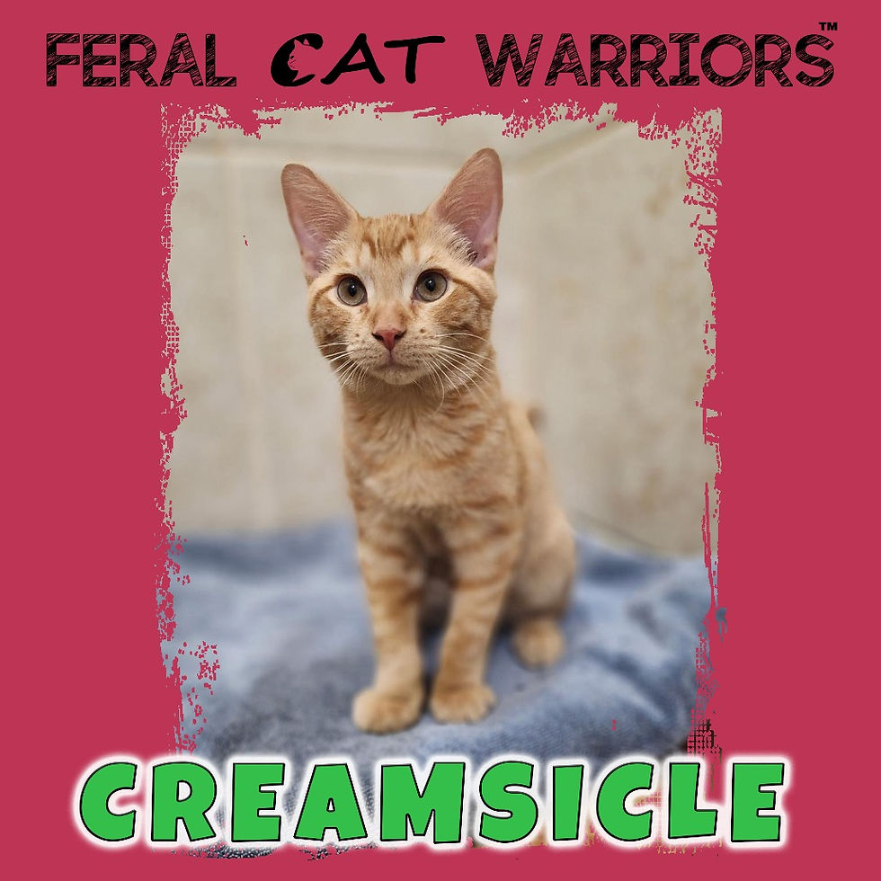 Creamsicle