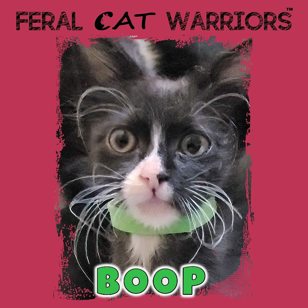 Boop