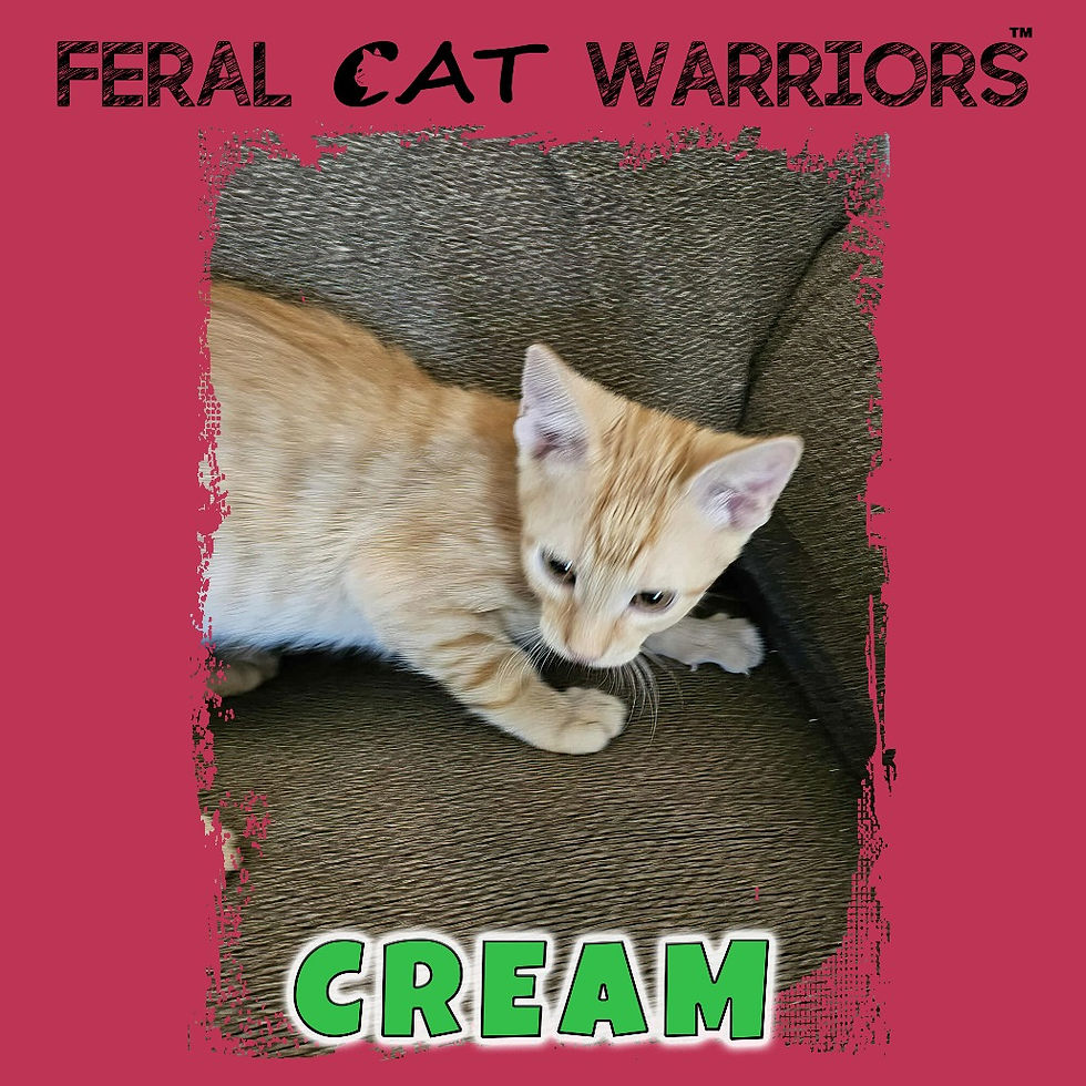 Cream