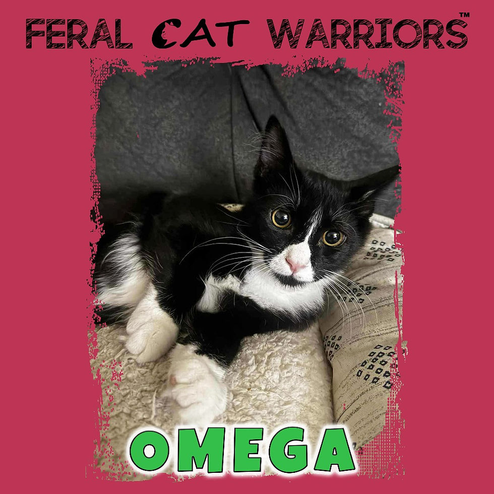 Omega
