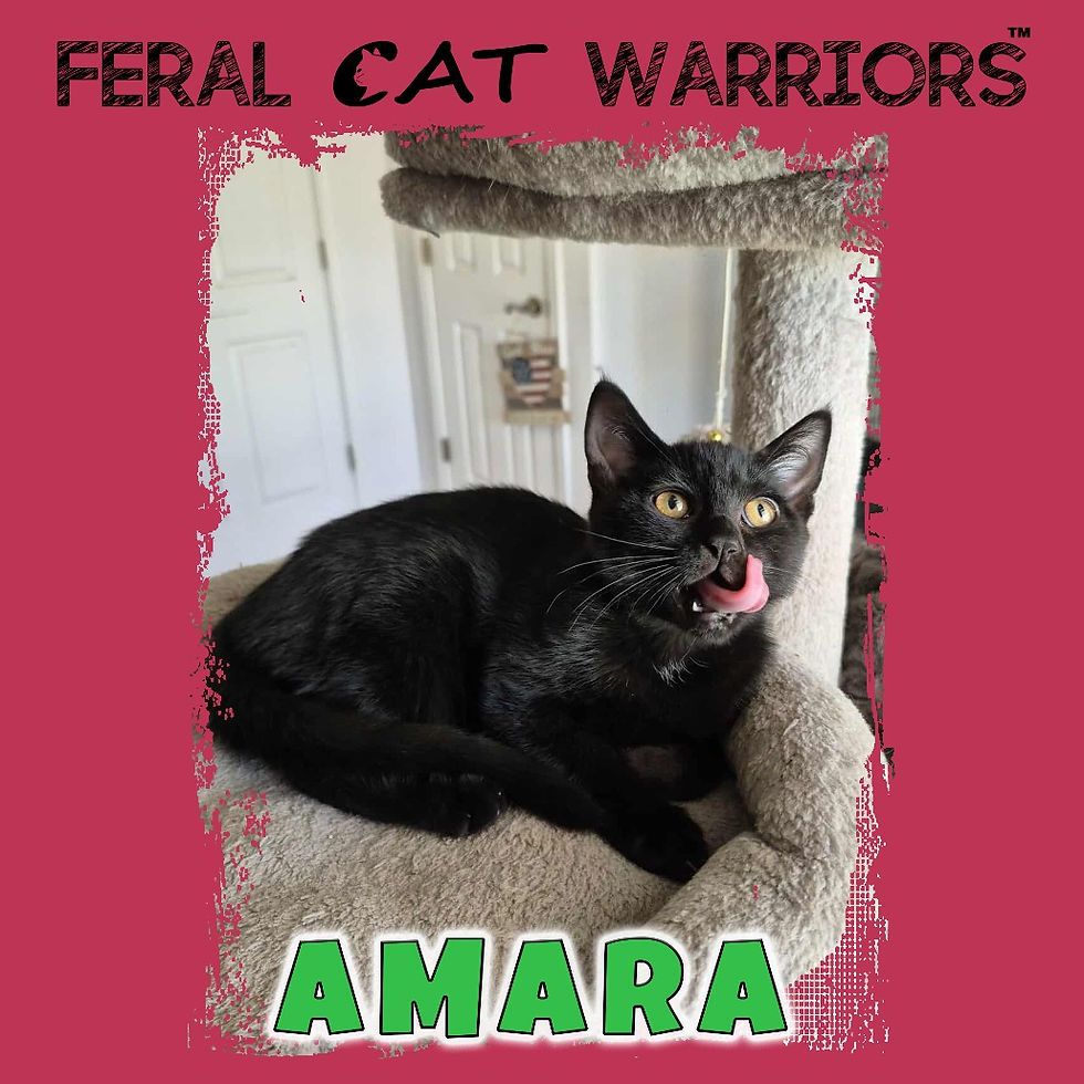 Amara