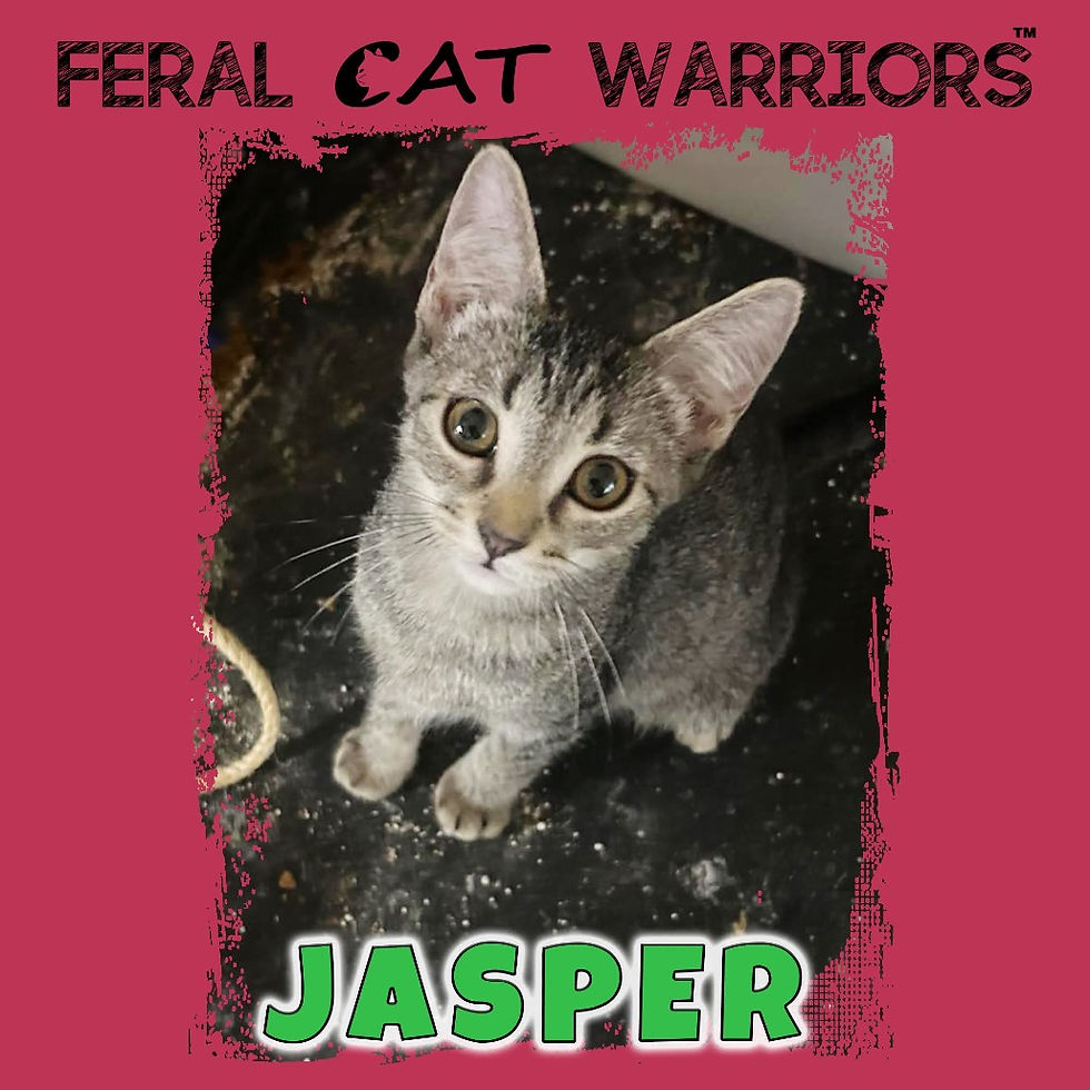 Jasper