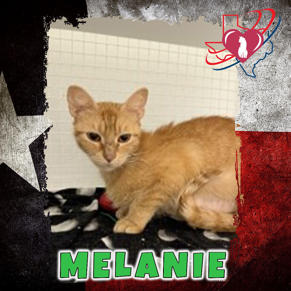 Melanie