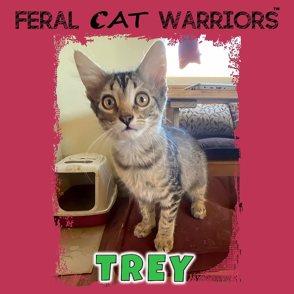 Trey