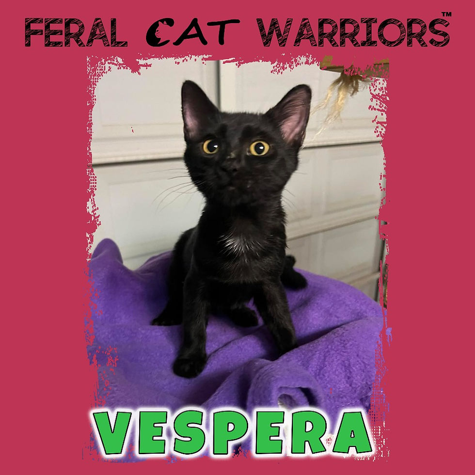 Vespera