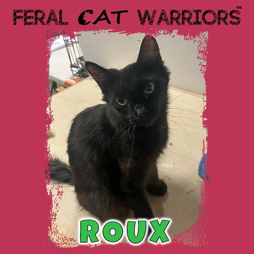 Roux
