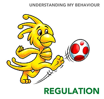 regulation (2).png