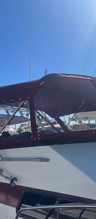 IMG_4282.jpeg