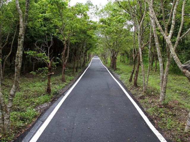 大農大富平地森林園區