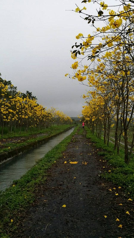 台九線風鈴道