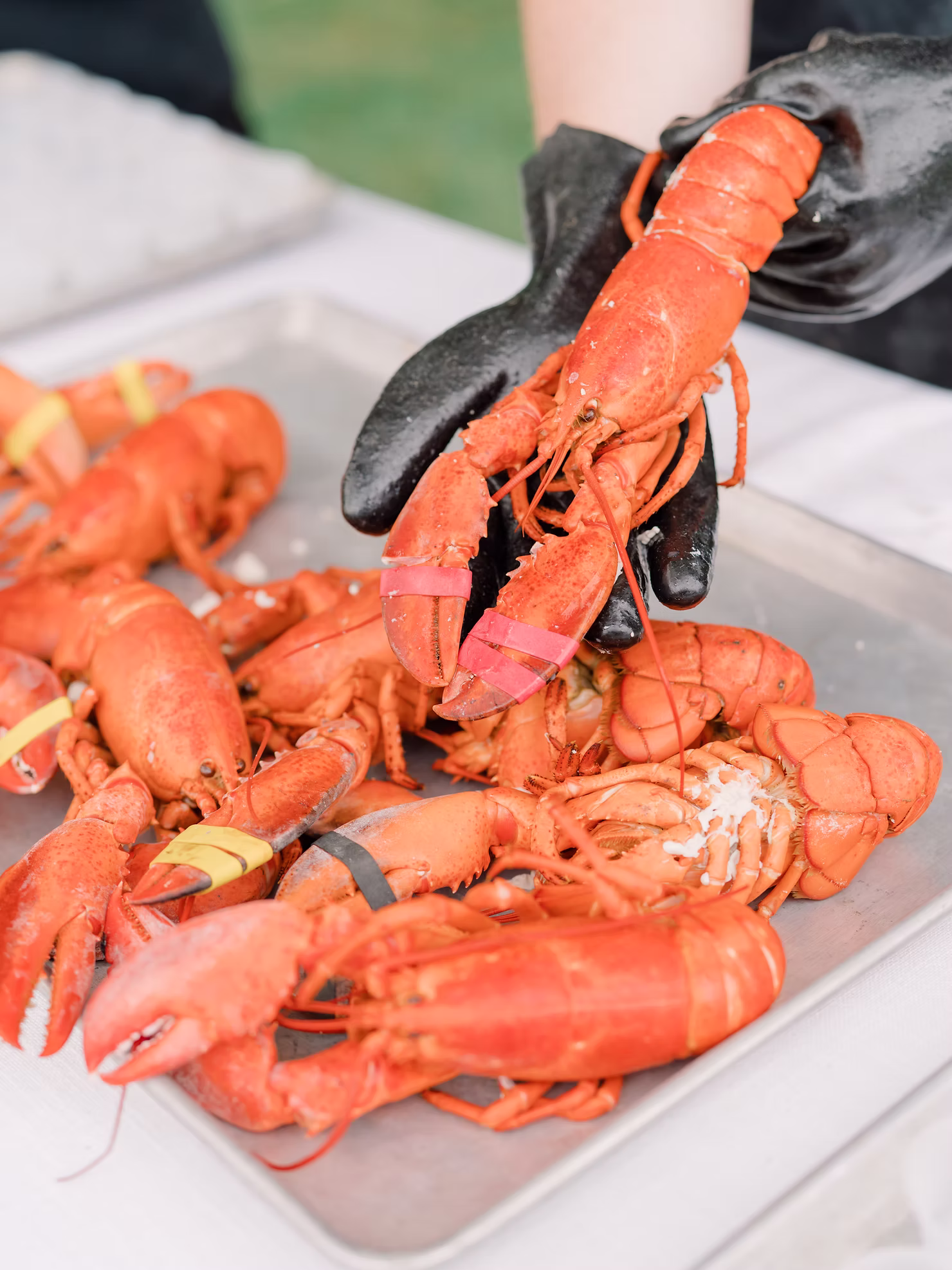 fresh new england lobster - wedding catering