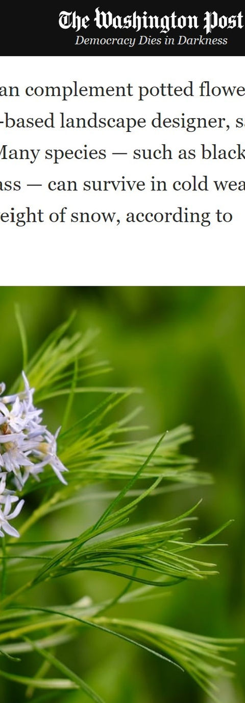 Jonathan Fargion Washington Post