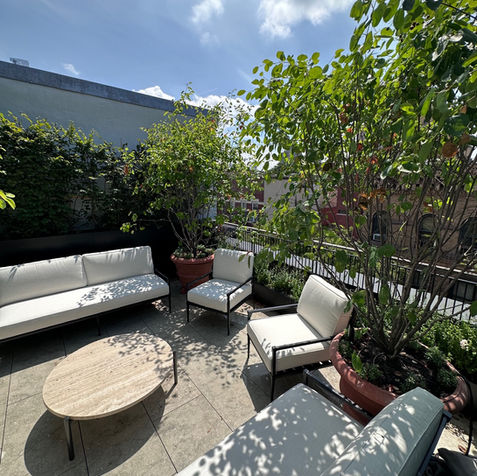 Landscape Design West Village Jonathan Fargion