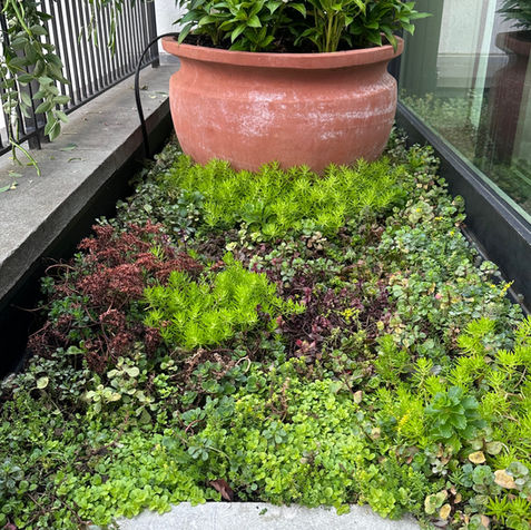 Landscape Design West Village Jonathan Fargion