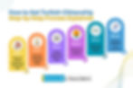 Steps to obtain Turkish citizenship are listed in colorful numbered columns, including property selection, valuation, payment, compliance, residency, and application filing.