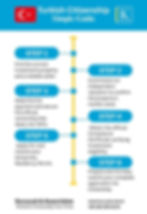 Flowchart titled "Turkish Citizenship Simple Guide" outlines 6 steps, including finding property and submitting a citizenship application.