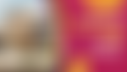 Understanding Property Law in Turkey: A Comprehensive Guide