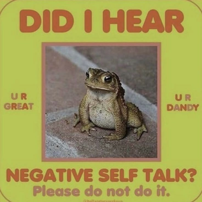 A frog with the text 'Did I hear negative self talk? Please do not do it. U R great, U R dandy.'