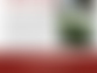 Florais com Salus Lux