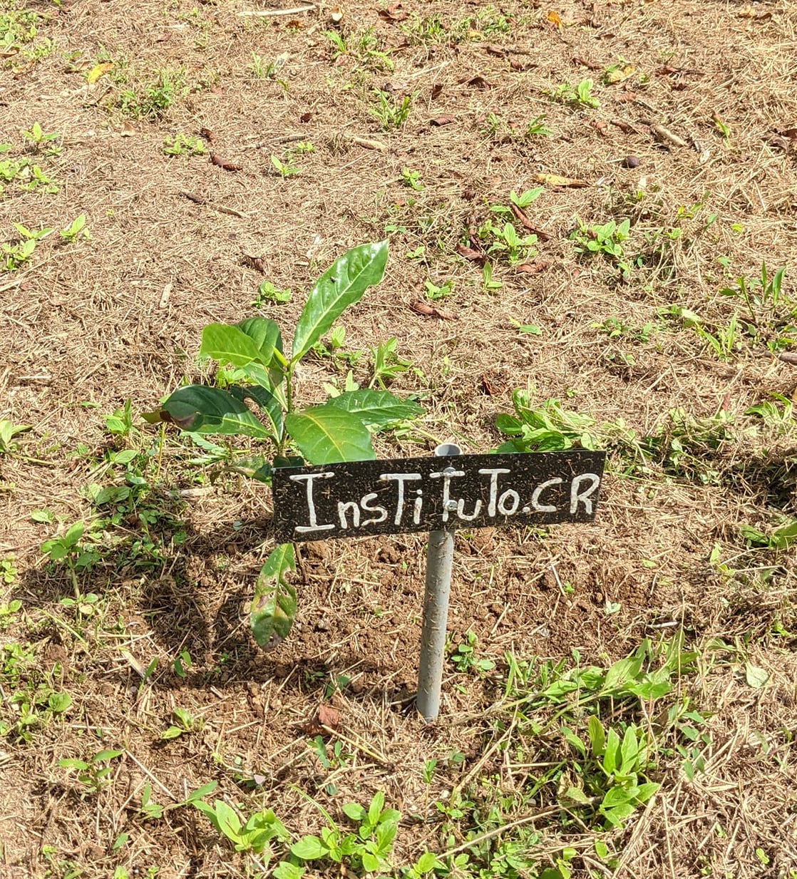 弊所のコーヒー、2023.10.2